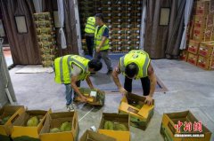 AI赋能全链条 广西让东盟水果“鲜”入中国